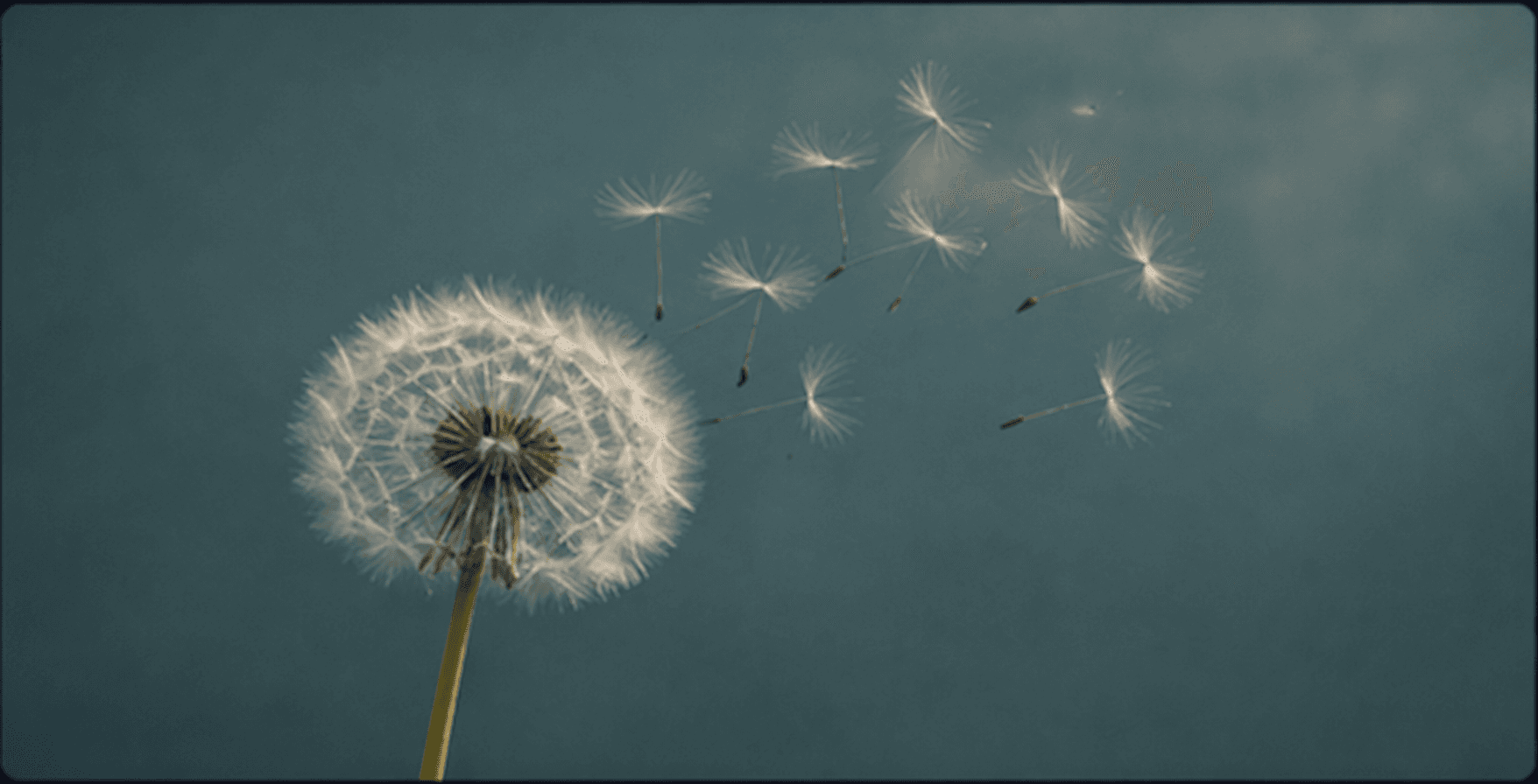 The Stoic Art of Letting Go