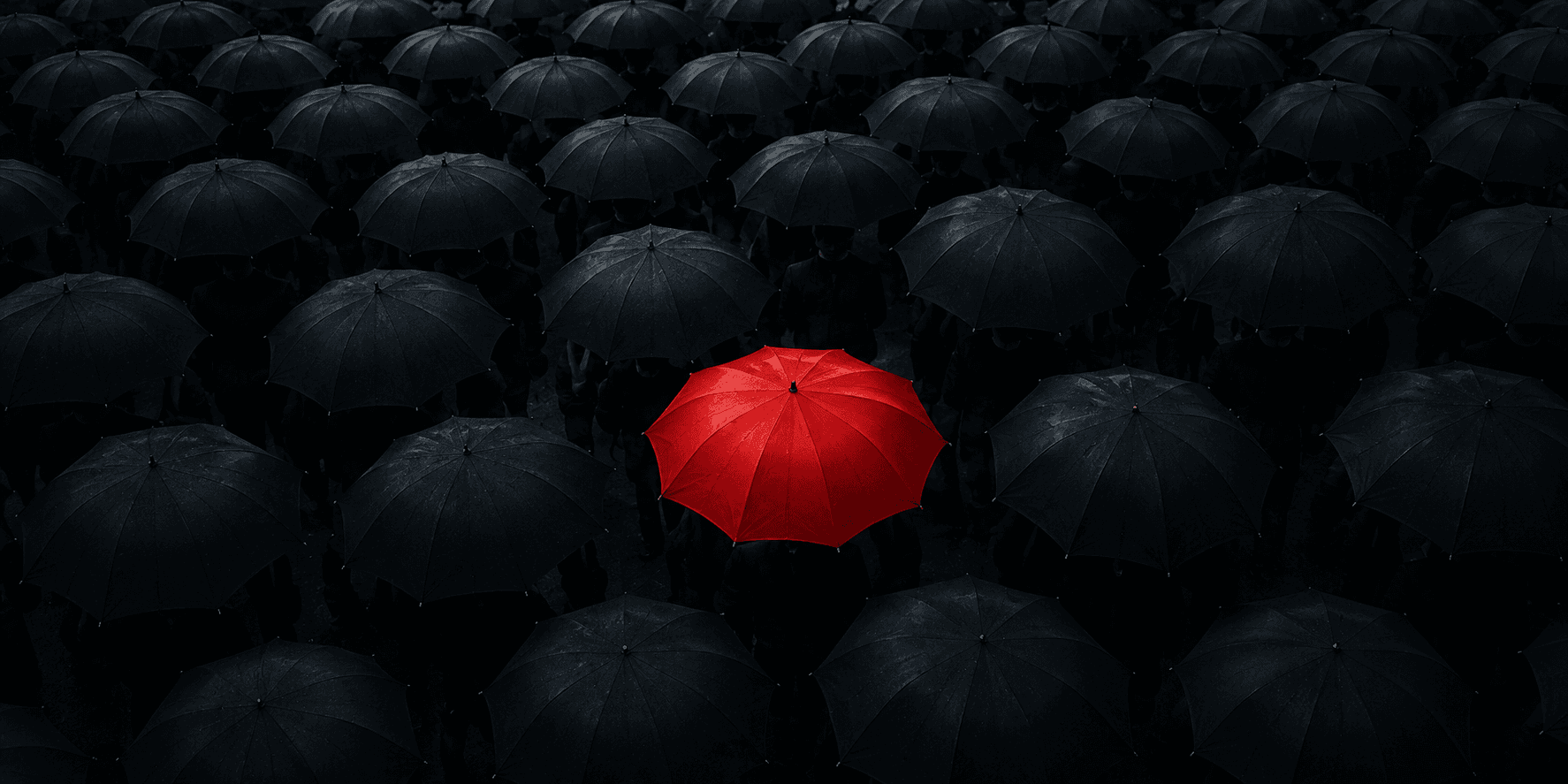 Why We Follow the Crowd